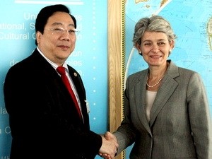 Вьетнам принимает участие в 192-й сессии Исполнительного совета ЮНЕСКО - ảnh 1