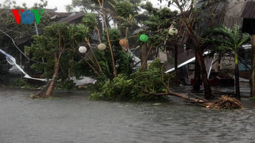Два человека погибли, 11 получили ранения из-за тайфуна «Нари» - ảnh 1
