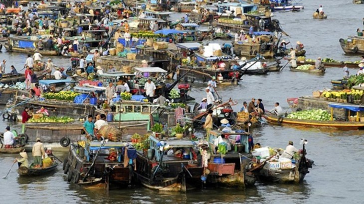 Активизация привлечения прямых иностранных инвестиций в дельту реки Меконг - ảnh 1