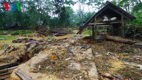 Провинции Центрального Вьетнама сильно пострадали от недавних тайфунов - ảnh 1
