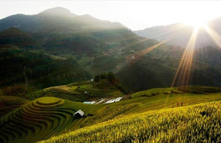 Культура террасного земледелия в высокогорных районах Северного Вьетнама - ảnh 2