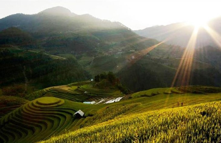Культура террасного земледелия в высокогорных районах Северного Вьетнама - ảnh 3