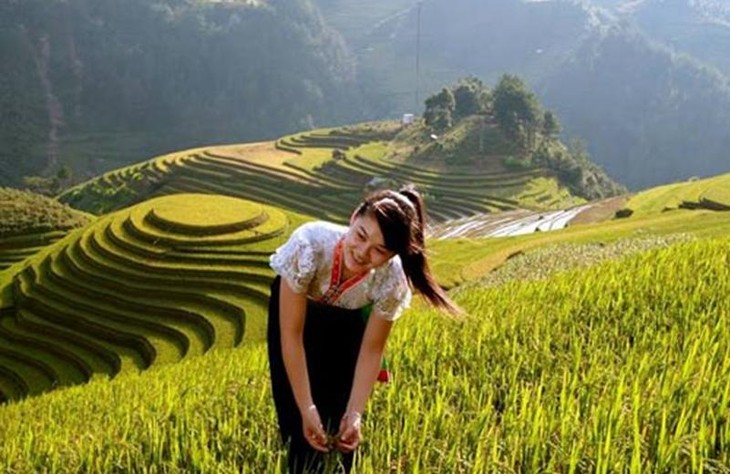 Культура террасного земледелия в высокогорных районах Северного Вьетнама - ảnh 4