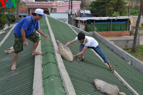 В Центральном Вьетнаме готовились к борьбе с тайфуном «Хайян» - ảnh 6