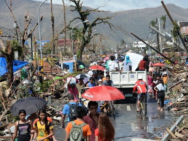Международное сообщество проявляет солидарность в ликвидации последствий тайфуна «Хайян» - ảnh 1