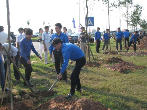 В провинциях и городах Центрального Вьетнама развернули Месячник молодых добровольцев 2015 года - ảnh 1