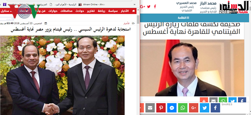 Президент Вьетнама Чан Дай Куанга дал интервью египетским СМИ - ảnh 1