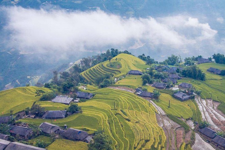 Террасные рисовые поля Хоангшуфи – шедевр искусства малых народностей Вьетнама - ảnh 1