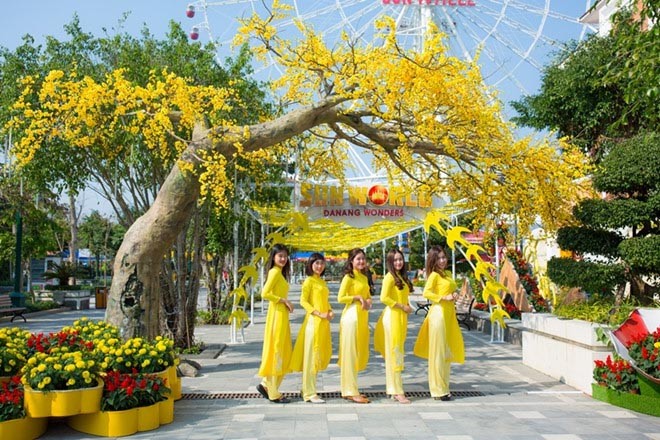 В городе Каолань провинции Донгтхап открылась улица весенних цветов - ảnh 1