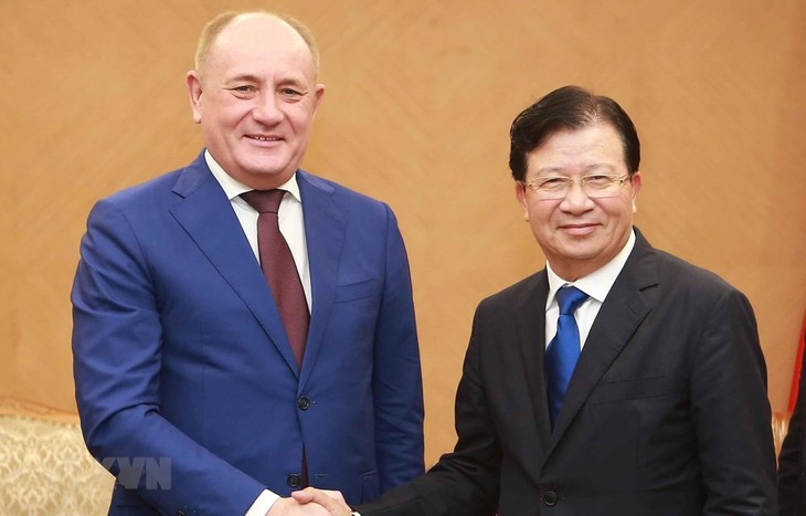 Вьетнам поощряет российские компании инвестировать в страну - ảnh 1