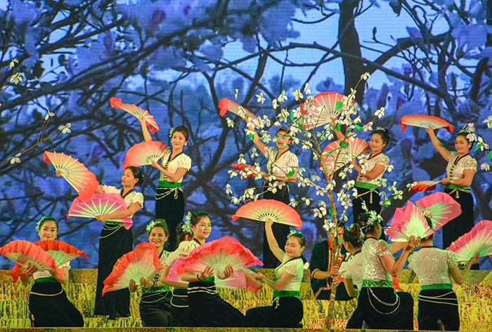 В городе Диенбиенфу открылся Фестиваль цветов баухинии на северо-западе Вьетнама  - ảnh 1