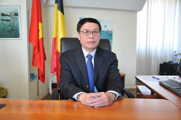 Национальное собрание Вьетнама и Европарламент играют важную роль в отношениях между Вьетнамом и ЕС - ảnh 1