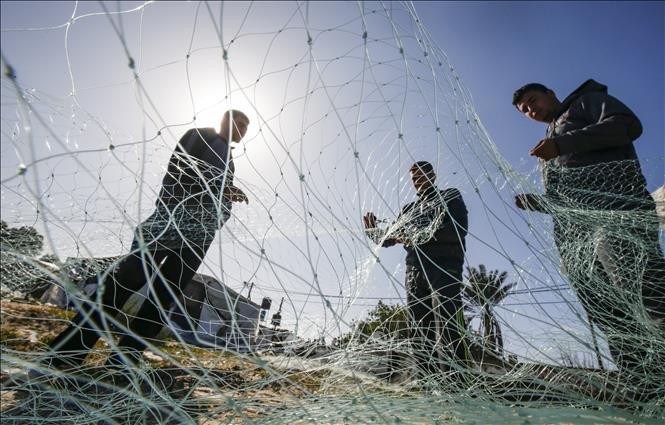 Палестинские группировки прекратили огонь в секторе Газа - ảnh 1