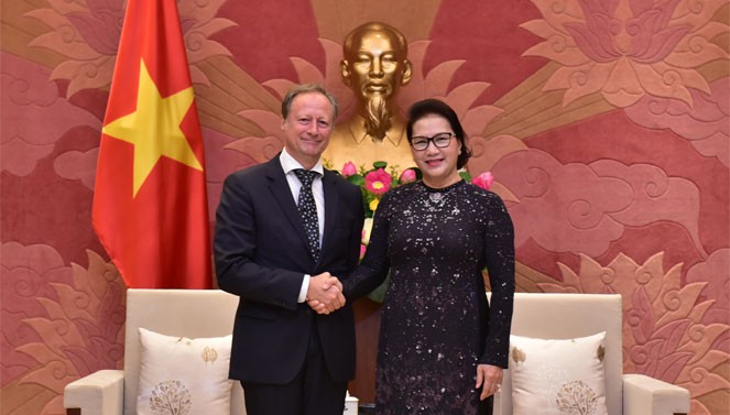 Председатель Национального собрания приняла главу миссии ЕС во Вьетнаме - ảnh 1