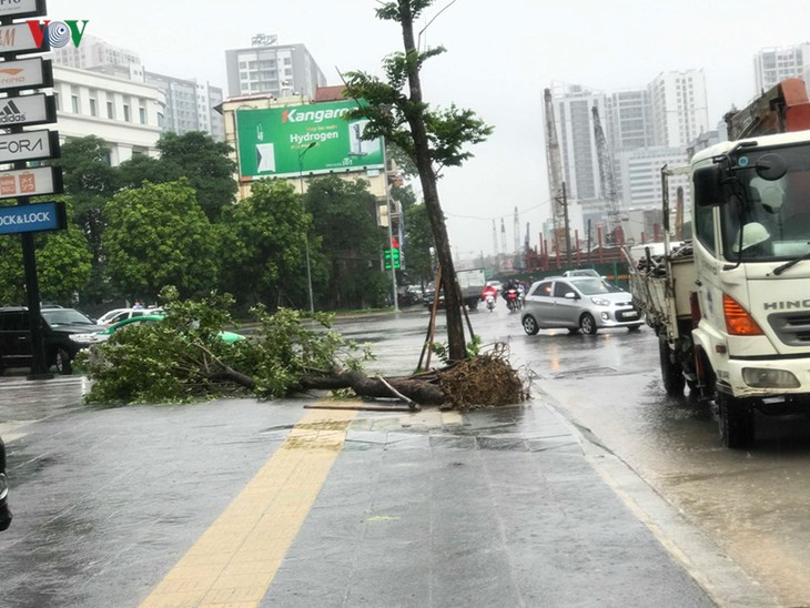 Вьетнам сосредотачивается на ликвидации последствий тайфуна «Вифа»    - ảnh 1
