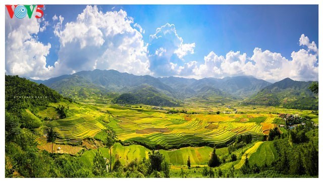 Великолепные рисовые террасы в уезде Мукангчай - ảnh 8