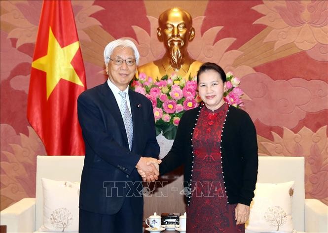 Нгуен Тхи Ким Нган приняла вице-спикера верхней палаты парламента Японии - ảnh 1