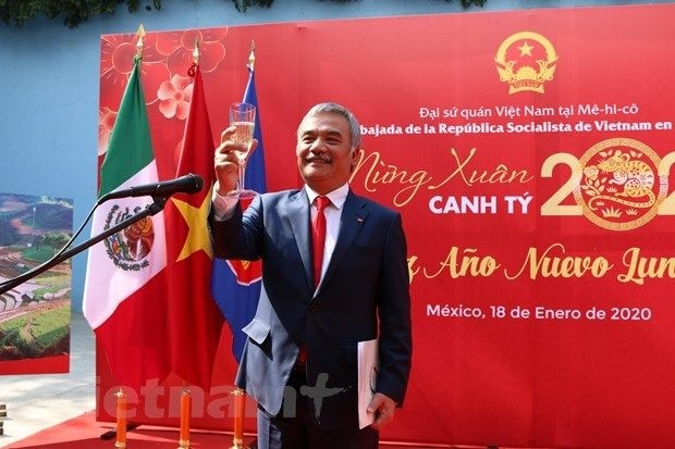 Вьетнамские диаспоры в зарубежных странах радостно встречают Тэт - ảnh 1