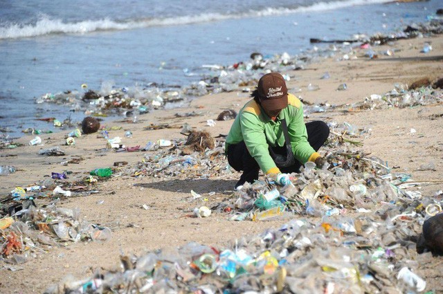 Экономика замкнутого цикла во Вьетнаме: управление пластиковыми отходами - ảnh 1