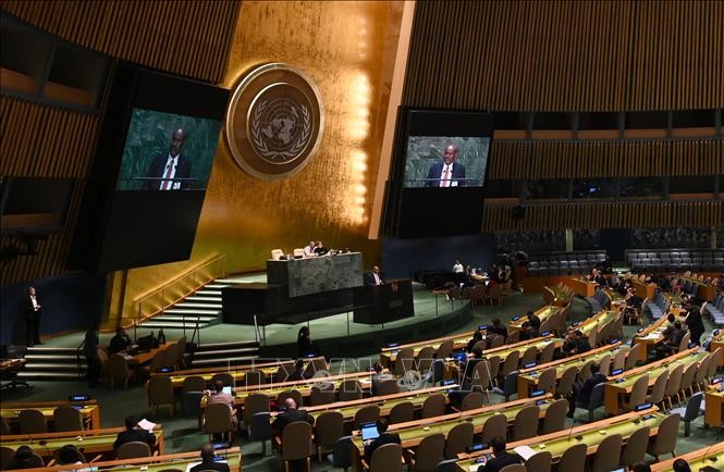 Генассамблея ООН приняла вторую резолюцию о COVID-19 - ảnh 1