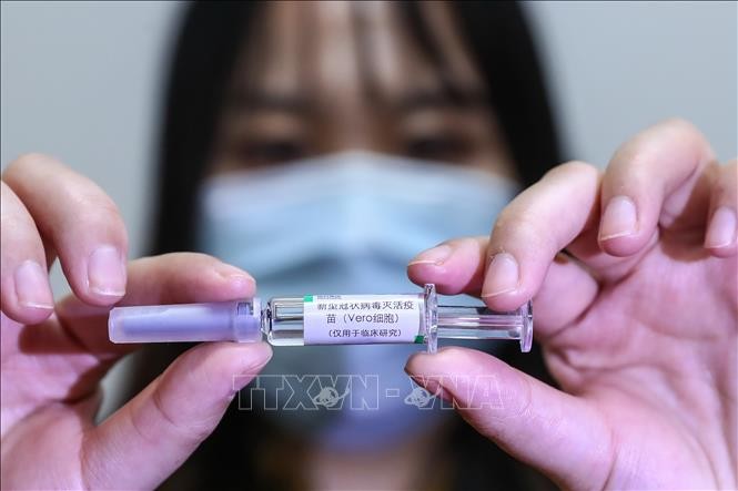 В Индонезии началась финальная фаза испытаний китайской COVID-вакцины - ảnh 1