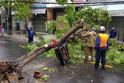 Срочная ликвидация последствий тайфуна №5 - ảnh 1
