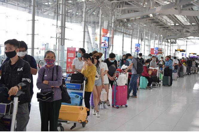 230 вьетнамских граждан вернулись из Таиланда на Родину - ảnh 1