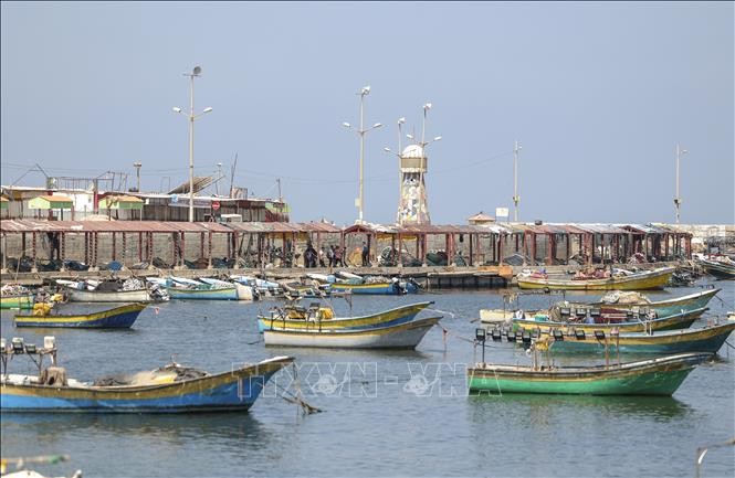 Израиль расширил зону рыболовства для сектора Газа - ảnh 1