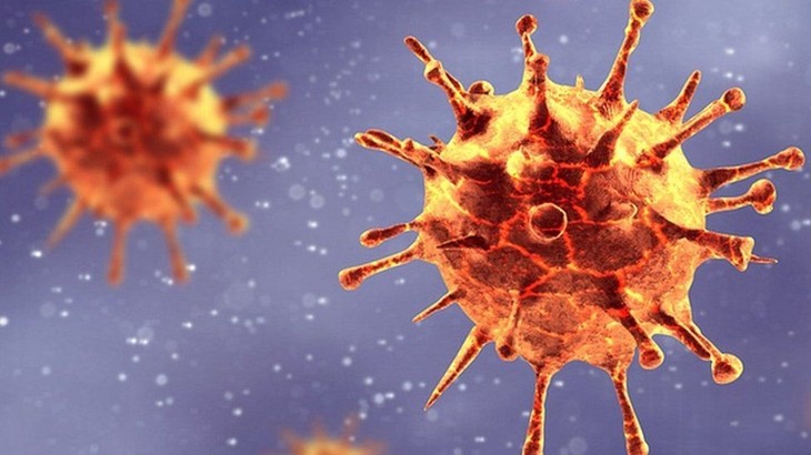 Мир выражает большую озабоченность в связи с новым штаммом коронавируса, более опасным чем Дельта-штамм - ảnh 1