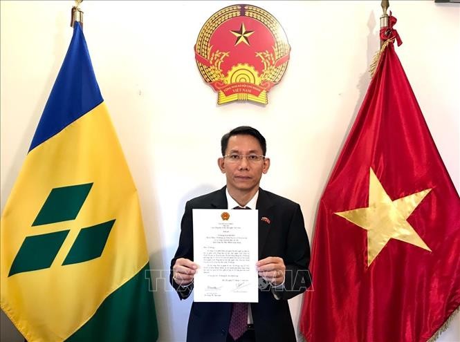 Вьетнам подтверждает свои усилия по развитию двусторонних отношений с Сент-Винсентом и Гренадинами - ảnh 1