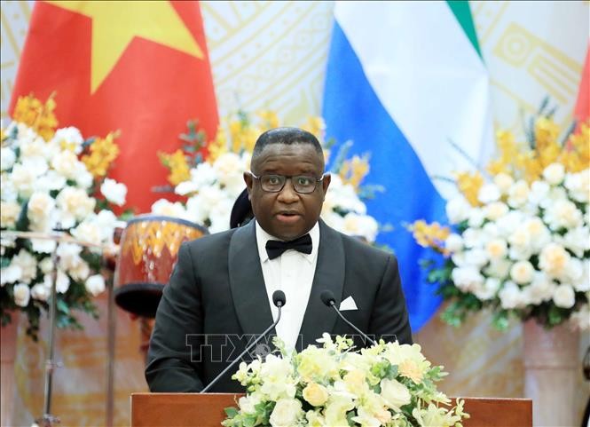 Президент Сьерра-Леоне успешно завершил визит во Вьетнам - ảnh 1