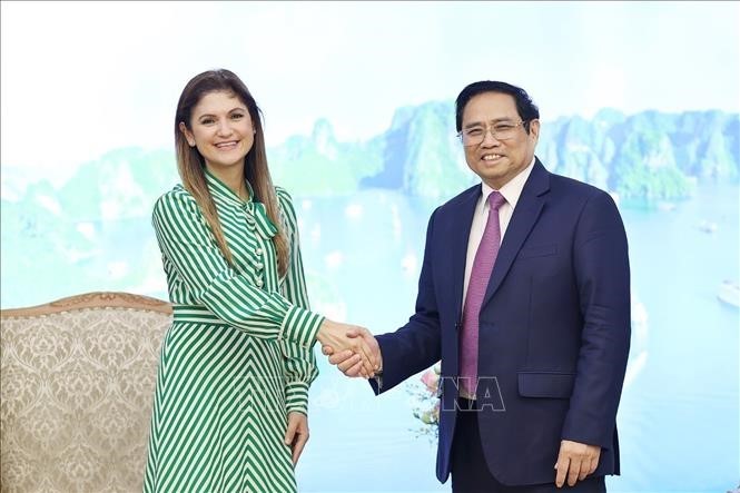 Активизируются отношения торгово-инвестиционного сотрудничества между Вьетнамом и Панамой - ảnh 1