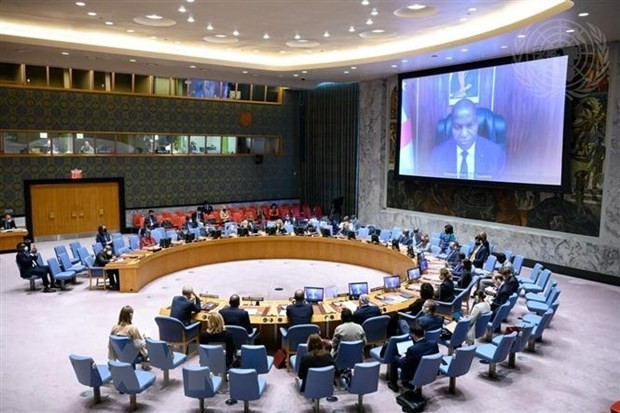 Совбез ООН продлил на год оружейное эмбарго в отношении ЦАР - ảnh 1