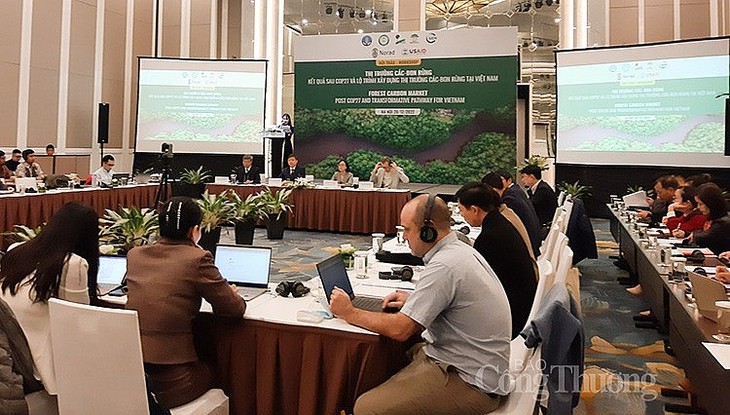 Развитие углеродного рынка для лесов во Вьетнаме - ảnh 1