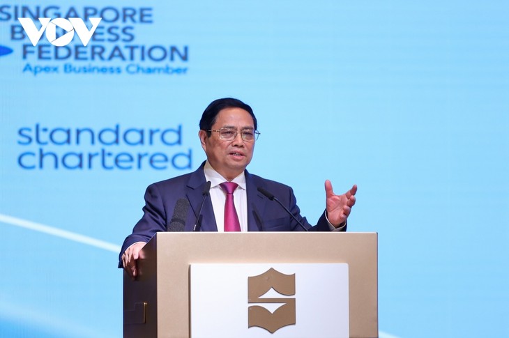 Премьер-министр Фам Минь Тинь принял участие во Вьетнамско-сингапурском бизнес-форуме - ảnh 1