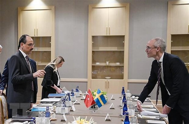Швеция и Финляндия возобновили переговоры с Турцией о вступлении в НАТО - ảnh 1