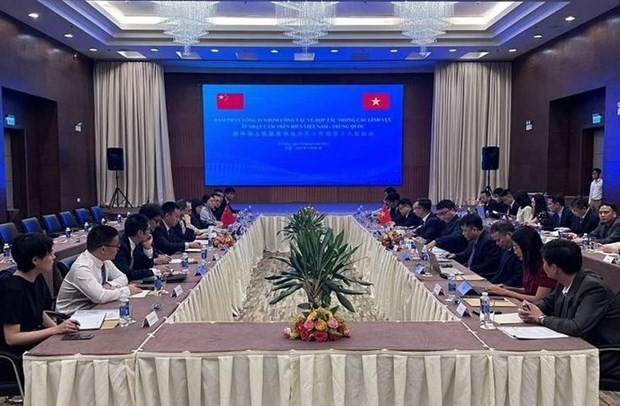 Прошел 16-й раунд переговоров Рабочей группы по сотрудничеству в менее чувствительных областях, связанных с морем, между Вьетнамом и Китаем - ảnh 1