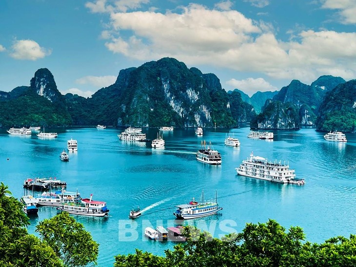 Комплекс бухты Халонг и архипелага Катба – межпровинциальный объект Всемирного наследия Вьетнама - ảnh 1