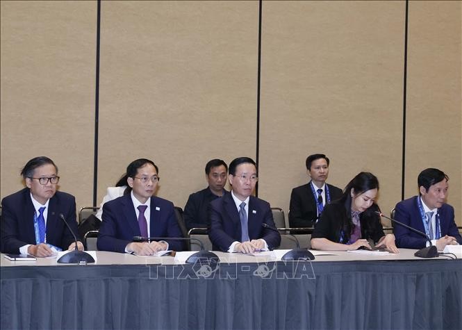 Президент Во Ван Тхыонг провел встречу с представителями делового альянса США-АТЭС - ảnh 1