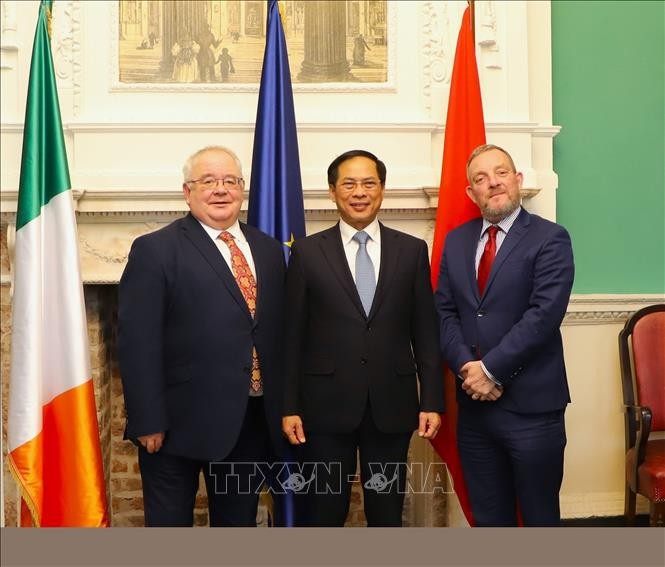 Глава МИД СРВ Буй Тхань Шон провел встречу с представителями Сената и Палаты представителей Ирландии - ảnh 1