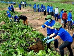 Tọa đàm về chính sách, pháp luật đối với thanh niên - ảnh 1