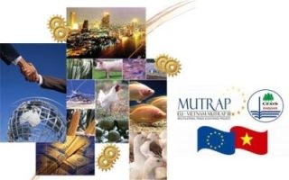 Hỗ trợ chính sách thương mại và đầu tư của châu Âu tại khu vực phía Nam - ảnh 1