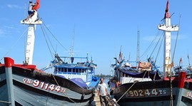 Quảng Nam: Thành lập Nghiệp đoàn nghề cá thứ hai - ảnh 1