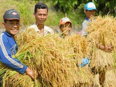 Việt Nam nằm trong tốp đầu các nước đạt mục tiêu xóa đói giảm nghèo - ảnh 1