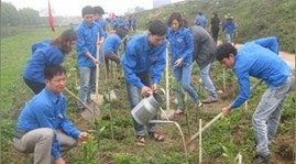 Thành đoàn thành phố Hồ Chí Minh ra quân trồng cây xanh - ảnh 1