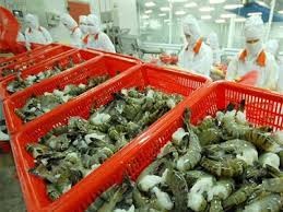 Doanh nghiệp Mỹ phản đối thuế chống trợ cấp đối với tôm nhập khẩu từ Việt Nam - ảnh 1