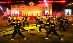 Liên hoan Quốc tế võ cổ truyền Việt Nam năm 2014 diễn ra vào tháng 8, tại tỉnh Bình Định  - ảnh 1