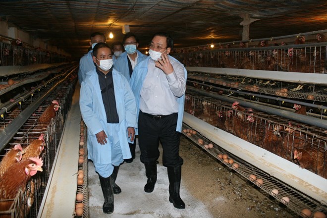 Phó Thủ tướng Hoàng Trung Hải kiểm tra công tác phòng, chống dịch cúm gia cầm tại Lạng Sơn  - ảnh 1