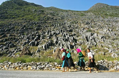 Cao nguyên đá Đồng Văn hút khách du lịch trong nước và quốc tế  - ảnh 1