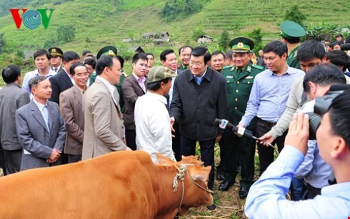 Chủ tịch nước Trương Tấn Sang dự Lễ tổng kết Chương trình bò giống giúp người nghèo biên giới - ảnh 1